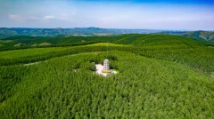 天天学习｜不断增厚我们的“绿色家底”